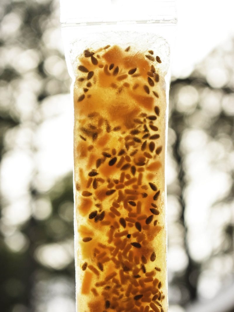 Glazed Carrot Happy Pops - 5 pack - Image 2