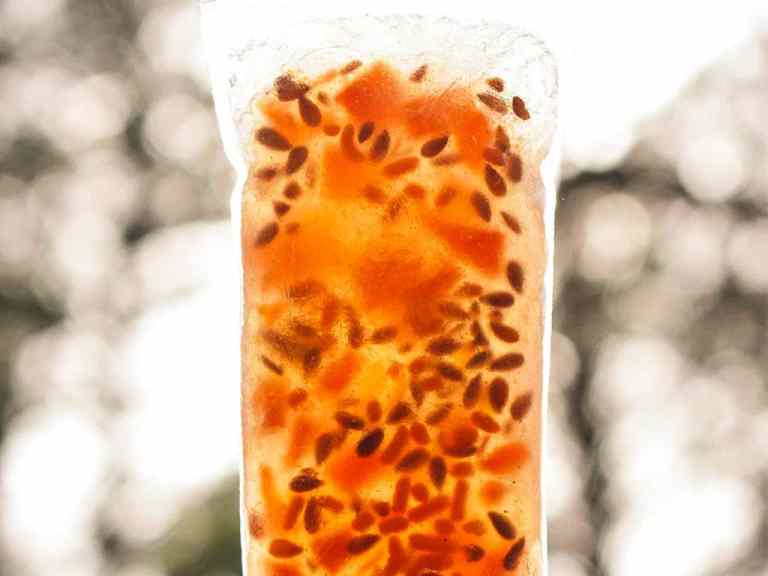Glazed Carrot with filter sm for OUR PRODUCTS shot