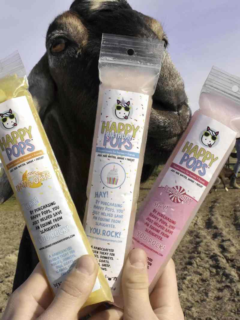 Happy Pops Sampler for Horses + Hooved Friends - 5 Pack - Image 2