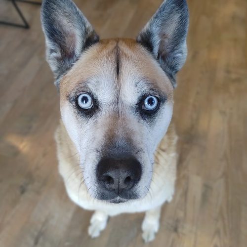 Literally. Our dog's name is Happy. - Jim S., Virginia Beach, Va