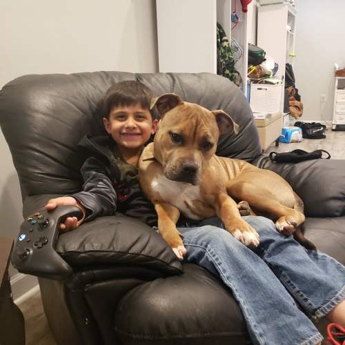 Happy is an overgrown puppy in your lap.  - Rupa T, Virginia Beach, Va